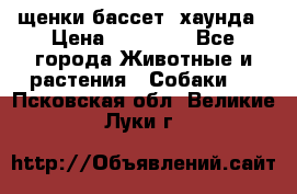 щенки бассет- хаунда › Цена ­ 20 000 - Все города Животные и растения » Собаки   . Псковская обл.,Великие Луки г.